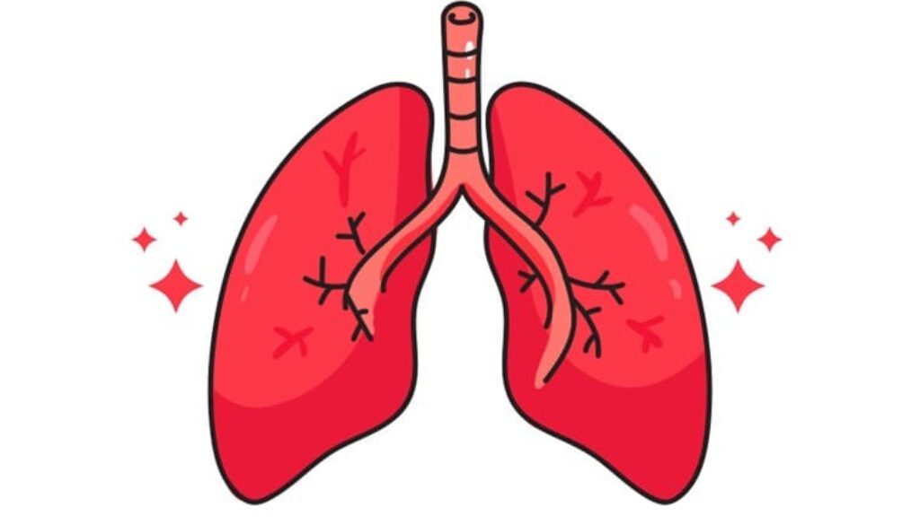 pulmonary embolism symptoms